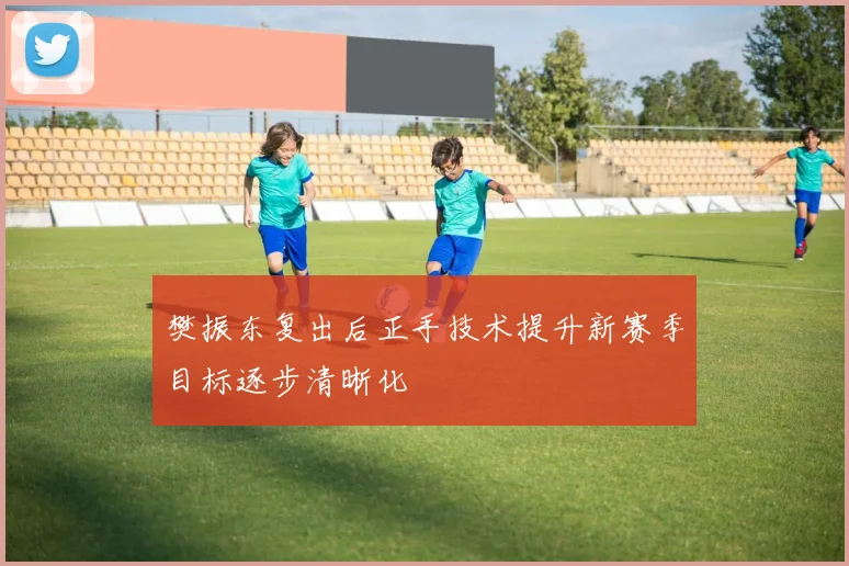 樊振东复出后正手技术提升新赛季目标逐步清晰化